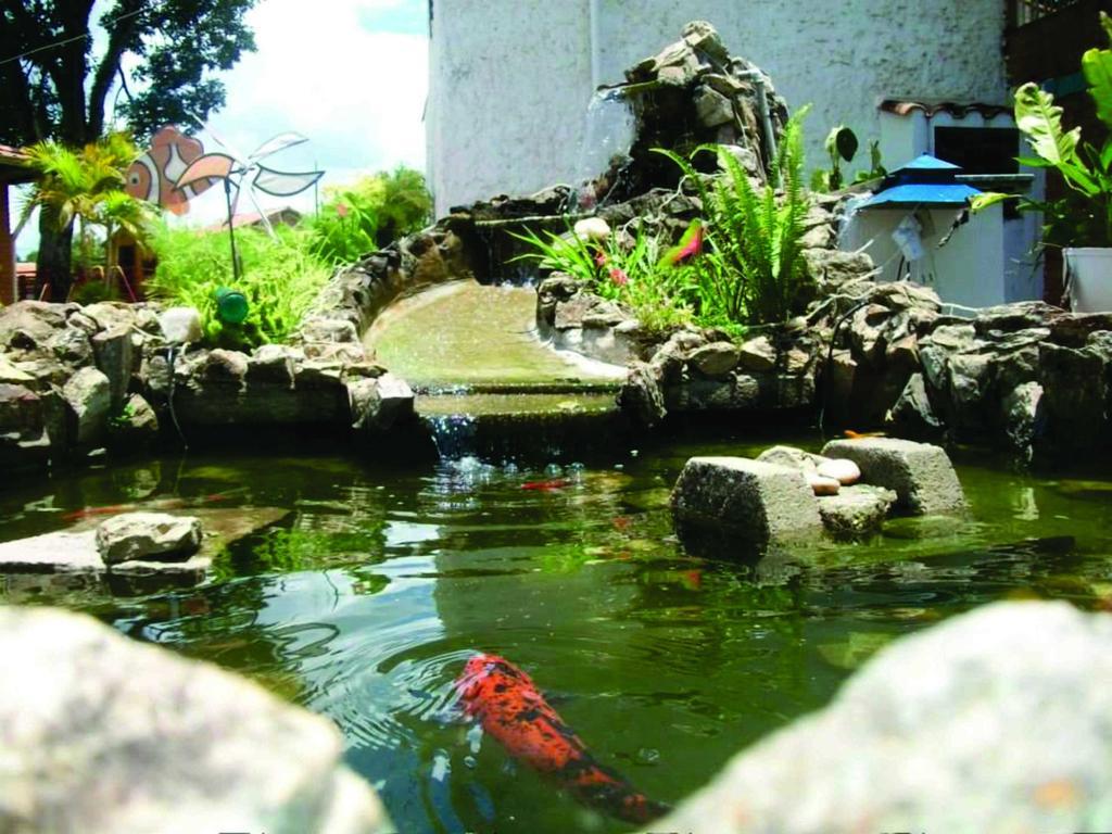 Pousada Nova Estancia Socorro (Sao Paulo) Ngoại thất bức ảnh