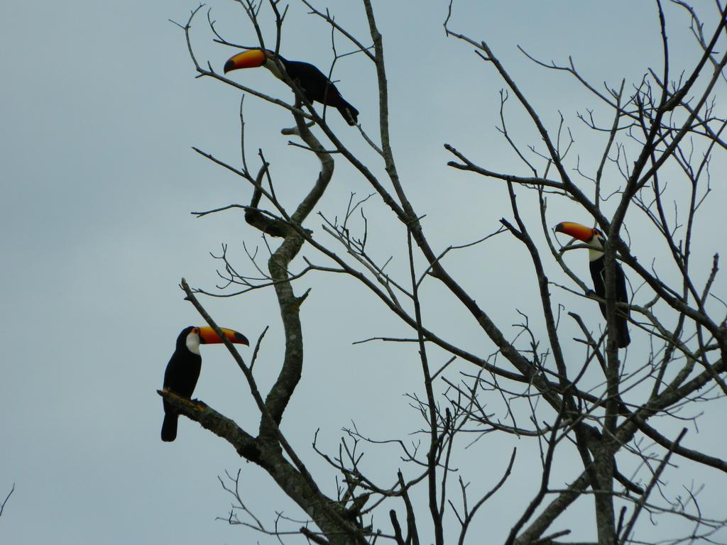 Pousada Nova Estancia Socorro (Sao Paulo) Ngoại thất bức ảnh
