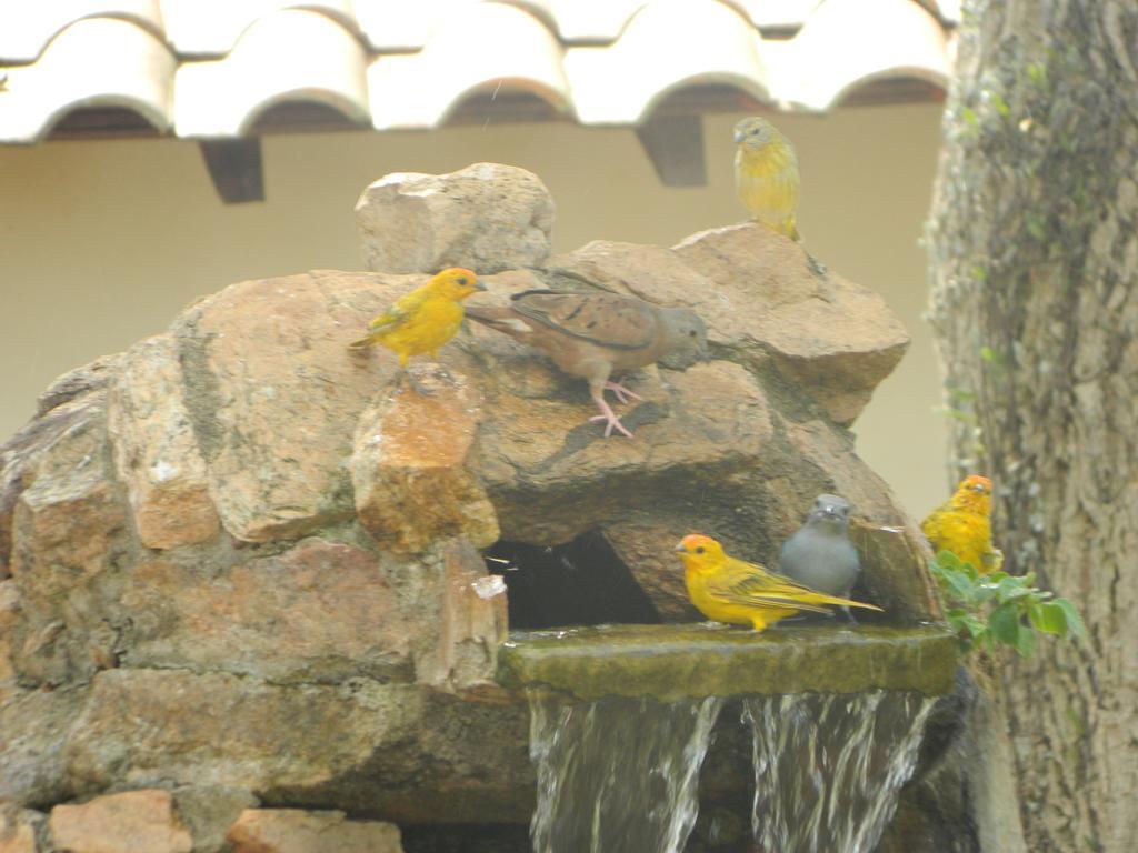 Pousada Nova Estancia Socorro (Sao Paulo) Ngoại thất bức ảnh